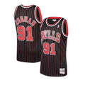 Chicago Bulls Dennis Rodman Black 1995-96 Hardwood Classics product image 1