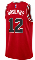 Chicago Bulls Ayo Dosunmu Red Nike Swingman Icon Jersey product image 1