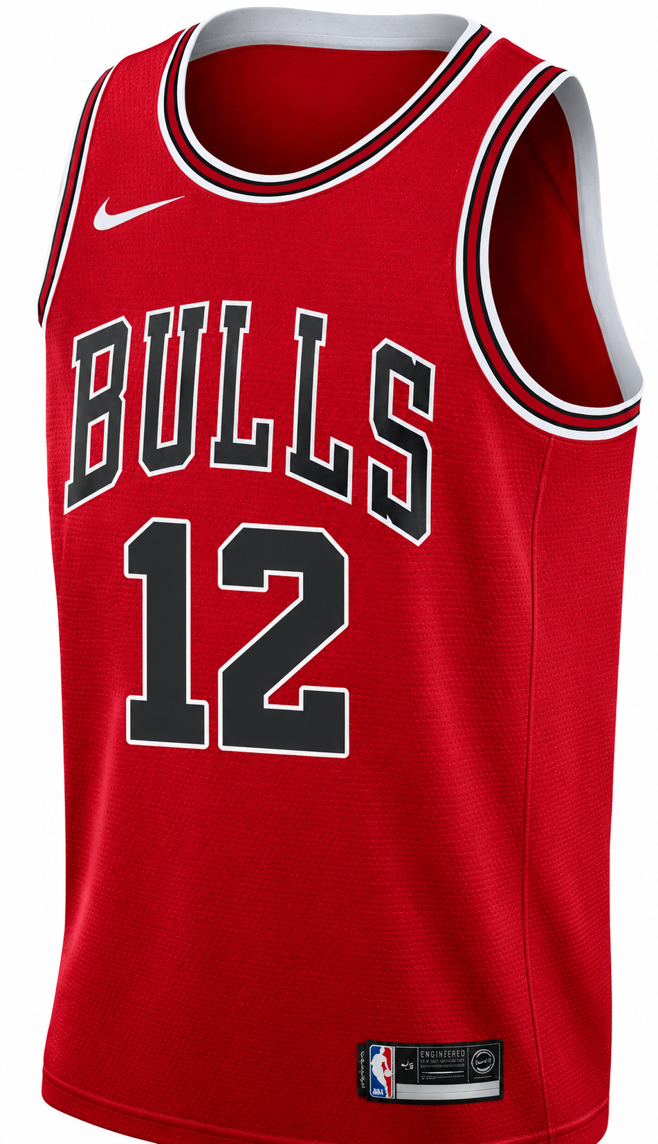 Chicago Bulls Ayo Dosunmu Red Nike Swingman Icon Jersey product image 2