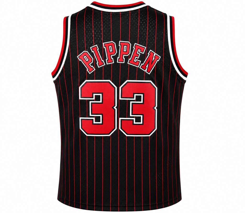 Chicago Bulls Scottie Pippen Mitchell & Ness Black 1995-96 product image 2