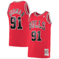 Men's Chicago Bulls Dennis Rodman Mitchell & Ness Red product image 1
