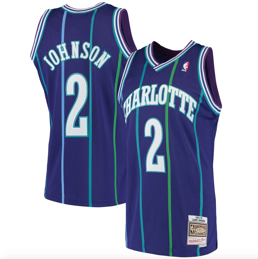 Men’s Larry Johnson Charlotte Hornets 1994-95 Purple product image 1