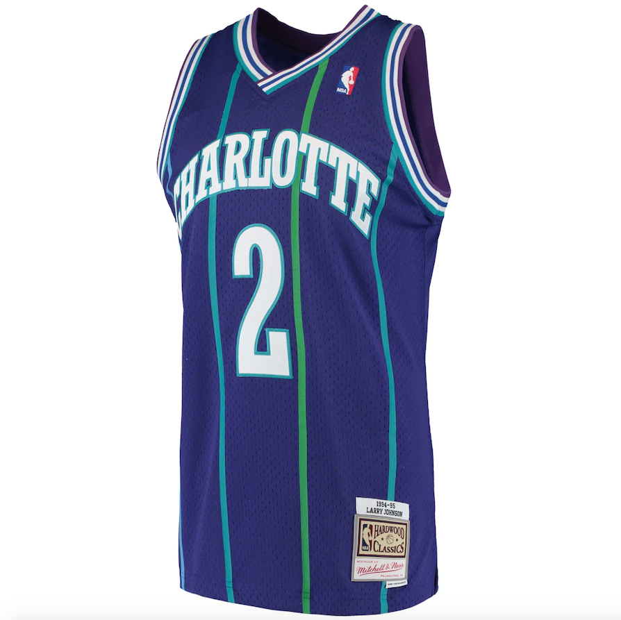 Men’s Larry Johnson Charlotte Hornets 1994-95 Purple product image 2