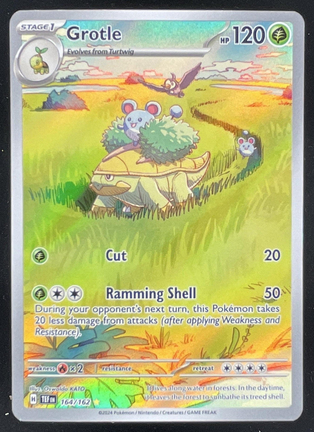 2024 Pokemon Temporal Forces #164/162 Grotle product image 1, provided for visual reference and product detail review