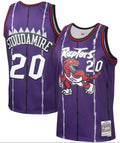 Men's Damon Stoudamire Toronto Raptors Mitchell & Ness product image 1