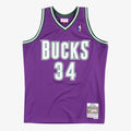 Milwaukee Bucks Swingman Jersey Road Ray Allen 2000 01 product image 1