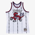 Toronto Raptors Swingman Jersey Damon Stoudamire 1995 96 product image 1