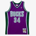 Milwaukee Bucks Swingman Jersey Ray Allen 2001 02 product image 1
