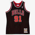 Chicago Bulls Jersey Dennis Rodman 1995 96 | Stitched RTJS product image 1