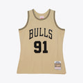 Chicago Bulls Swingman Jersey Dennis Rodman 1997 | Stitched product image 1