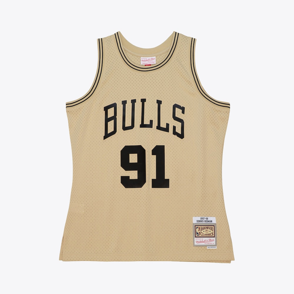 Chicago Bulls Swingman Jersey Dennis Rodman 1997 | Stitched product image 1