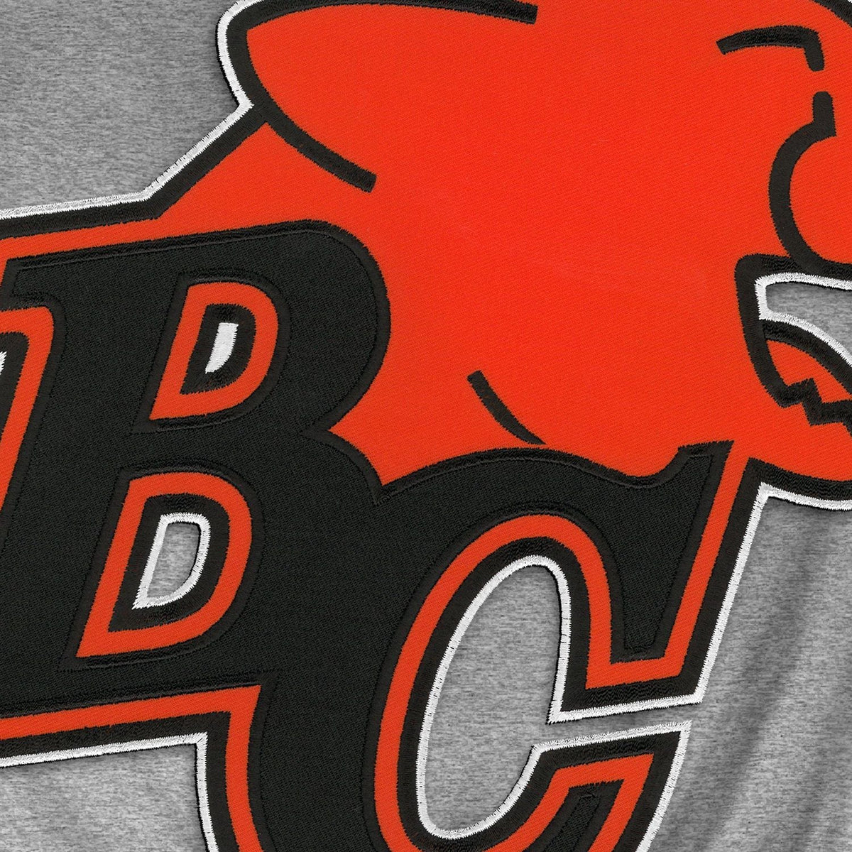 B.C Lions CFL Bulletin Men Athletic Grey Express Twill Logo Hoodie product image 3, provided for visual reference and
