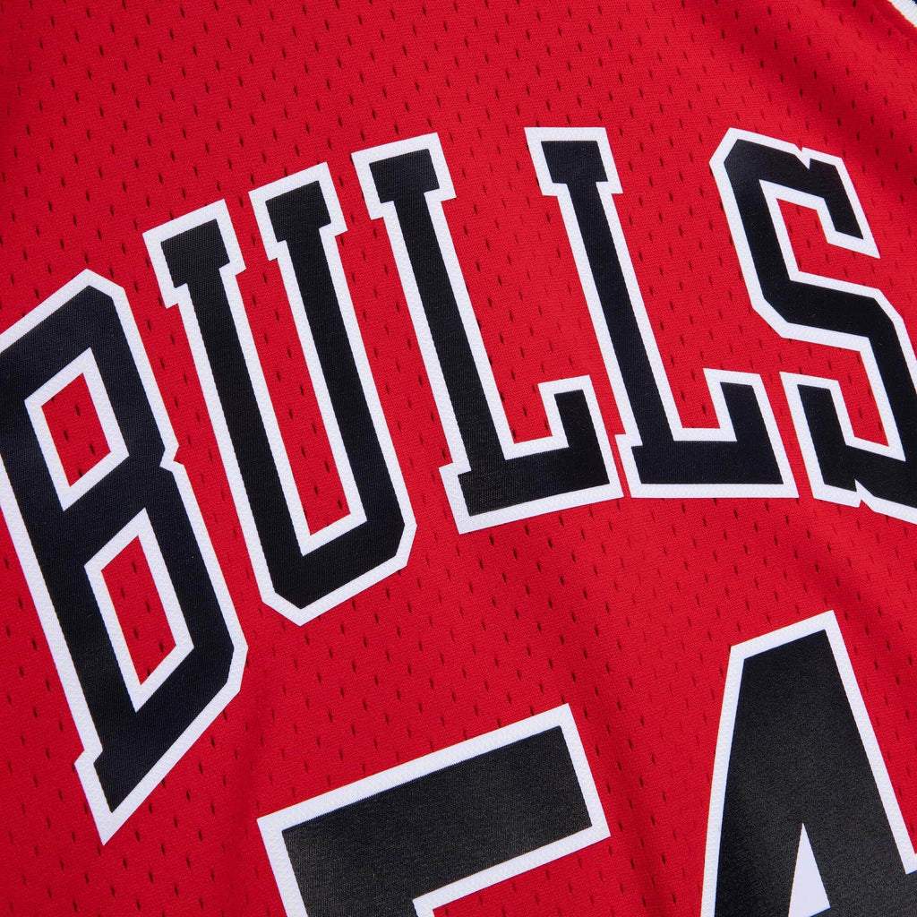 Mens Chicago Bulls Horace Grant Mitchell & Ness Red 1990-91 product image 4