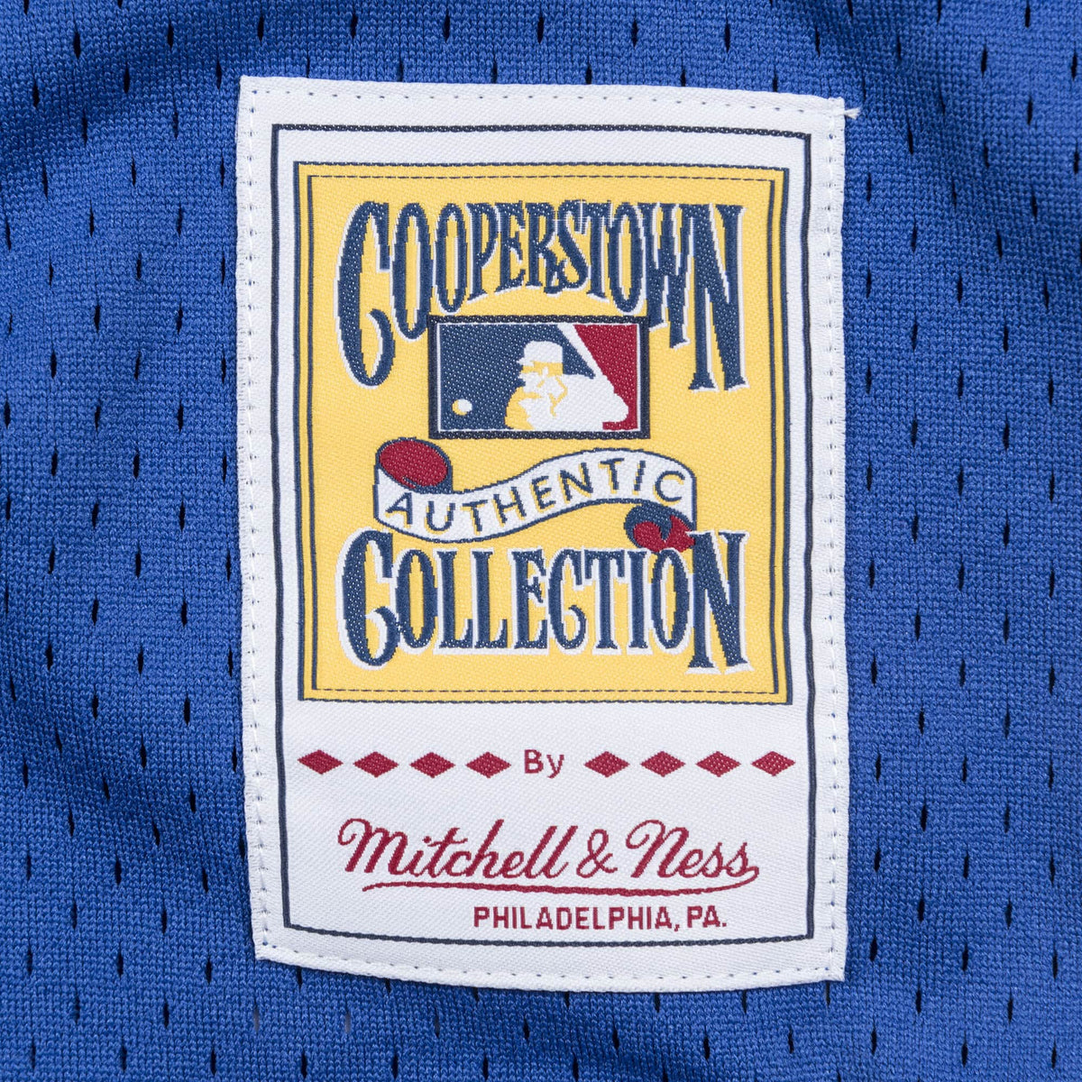 Vladimir Guerrero Montreal Expos MLB Mitchell & Ness Men Royal Blue 2002 Authentic BP Jersey product image 5, provided for