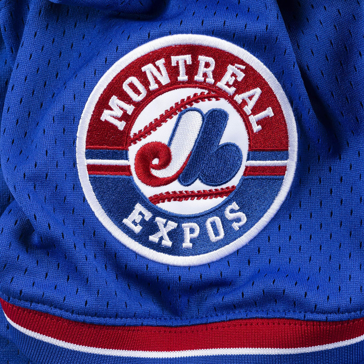 Vladimir Guerrero Montreal Expos MLB Mitchell & Ness Men Royal Blue 2002 Authentic BP Jersey product image 4, provided for
